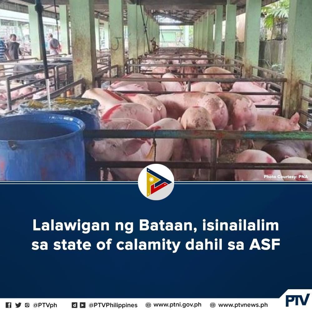 PTVph on Twitter: 