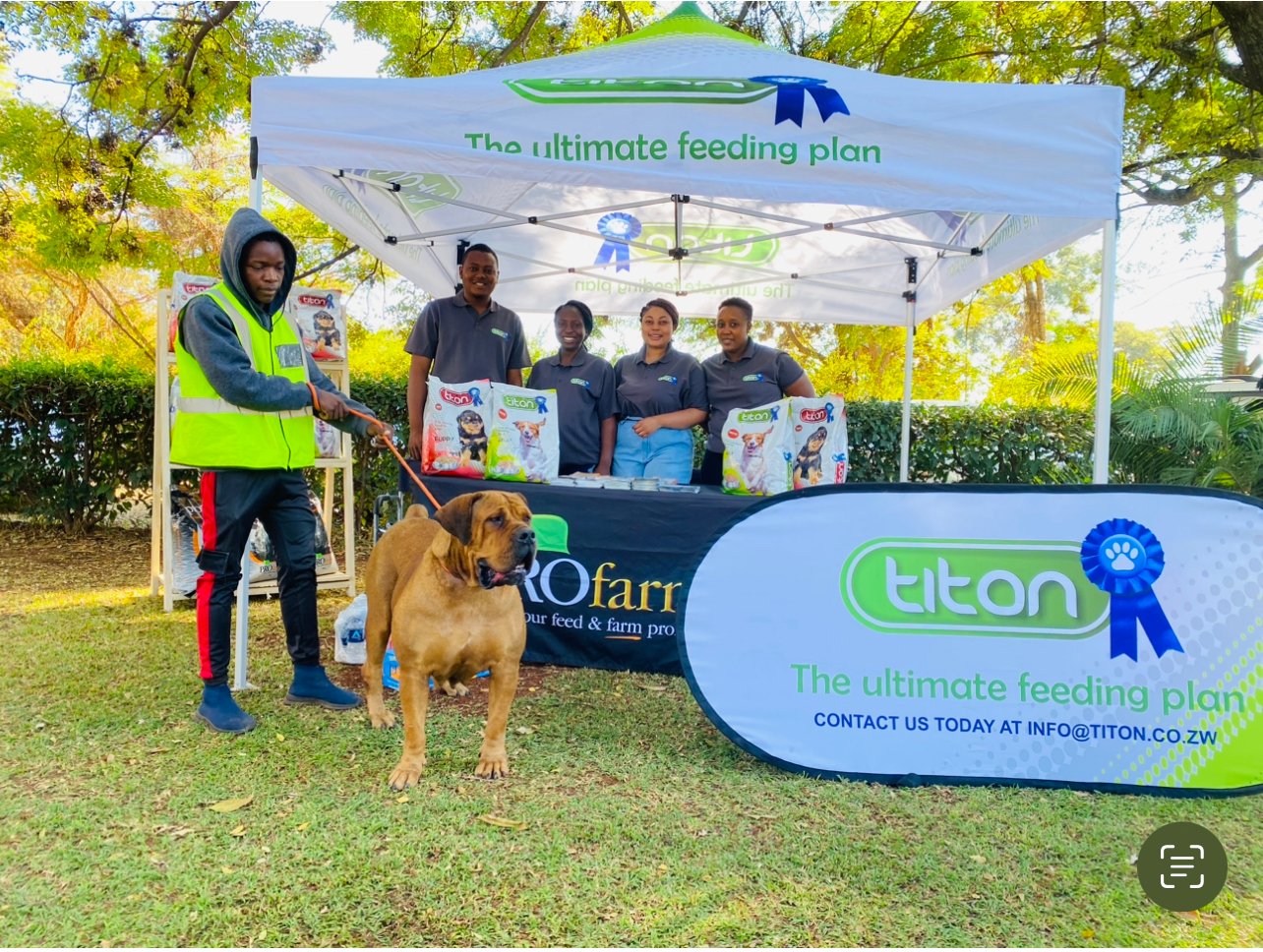 DHL kennels on Twitter "A pictureperfect moment with one of our furry