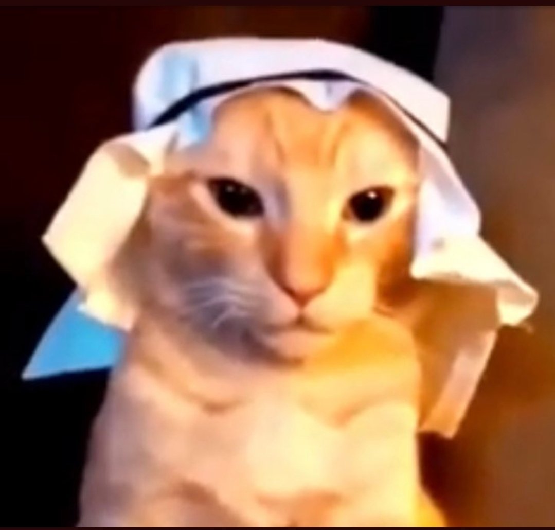 Stefan Michalski tweet media