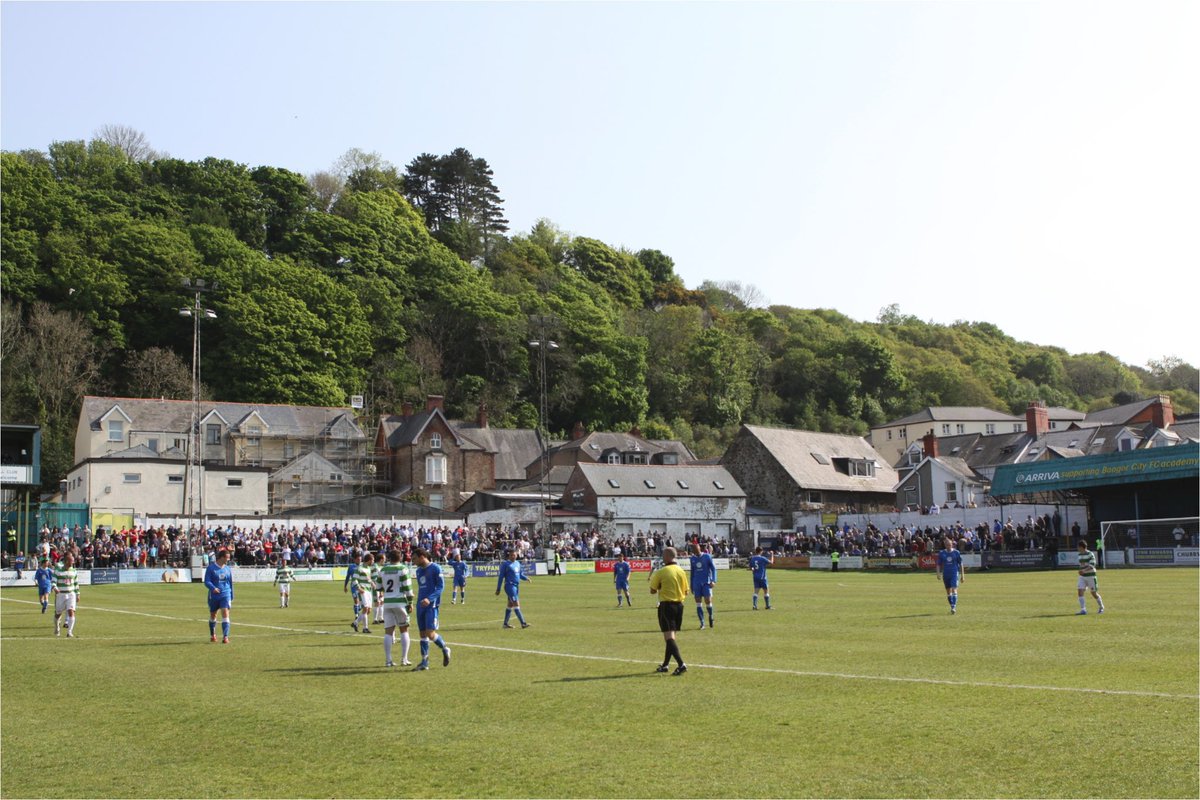 Phil Stead tweet media