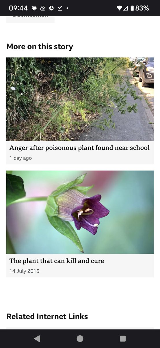 hevaeyre's tweet photo. Hi @BBCNews can you stop with the plant-related fear mongering? Poisonous plants are everywhere and don't need eradication, instead children (and adults) need teaching not to eat random plants. Bluebells, Yew, Foxglove, Hemlock, Aconite and Laburnum... https://t.co/l3OaDTgTCx