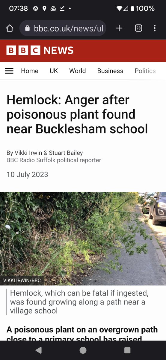 hevaeyre's tweet photo. Hi @BBCNews can you stop with the plant-related fear mongering? Poisonous plants are everywhere and don't need eradication, instead children (and adults) need teaching not to eat random plants. Bluebells, Yew, Foxglove, Hemlock, Aconite and Laburnum... https://t.co/l3OaDTgTCx