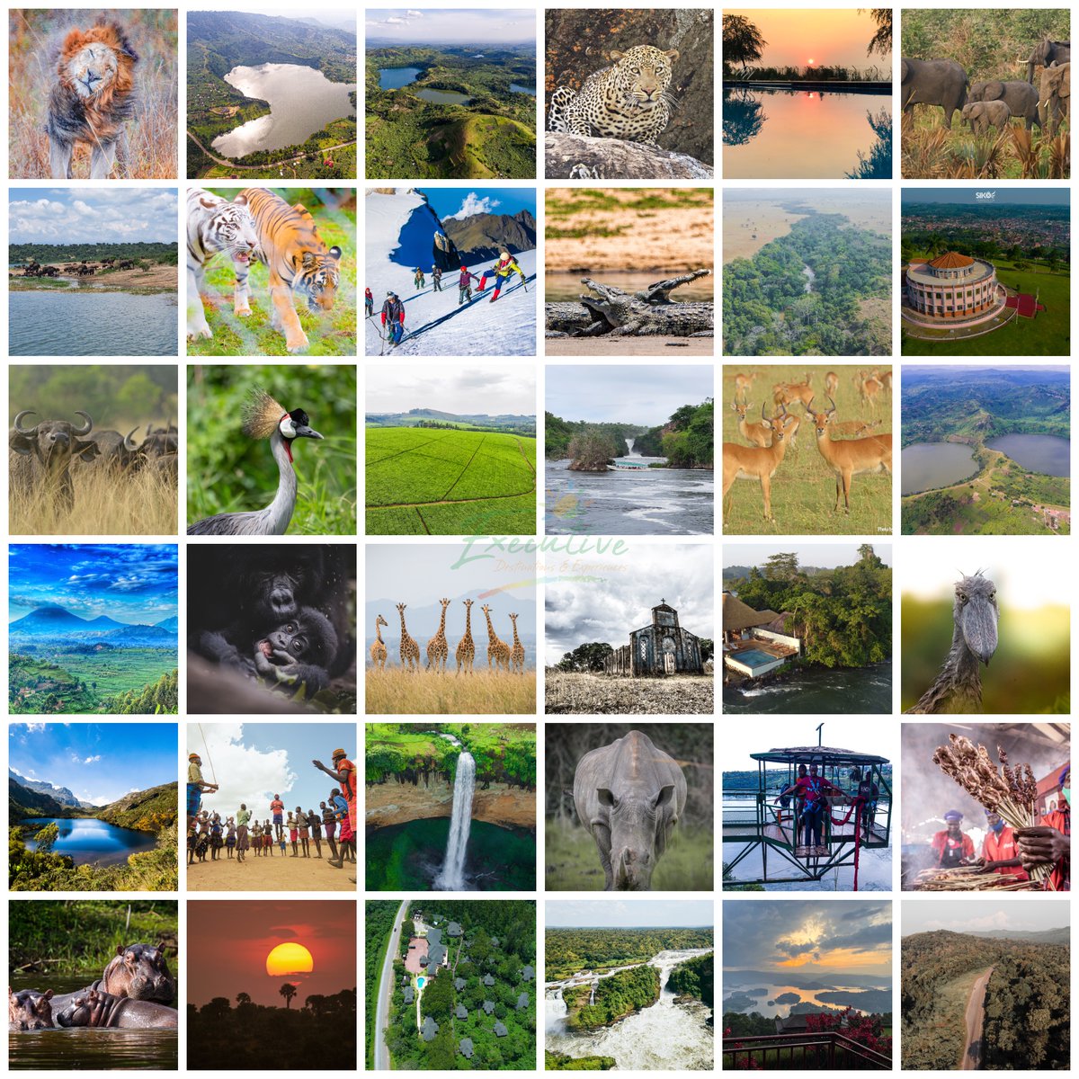 Good people, ever been travelling or met someone who asked you to tell them about Uganda or Uganda’s tourist attractions and you started stammering?

Well, stammer no more! Next time they ask you, tell them this:

Uganda, the #PearlOfAfrica, is a destination like no other.