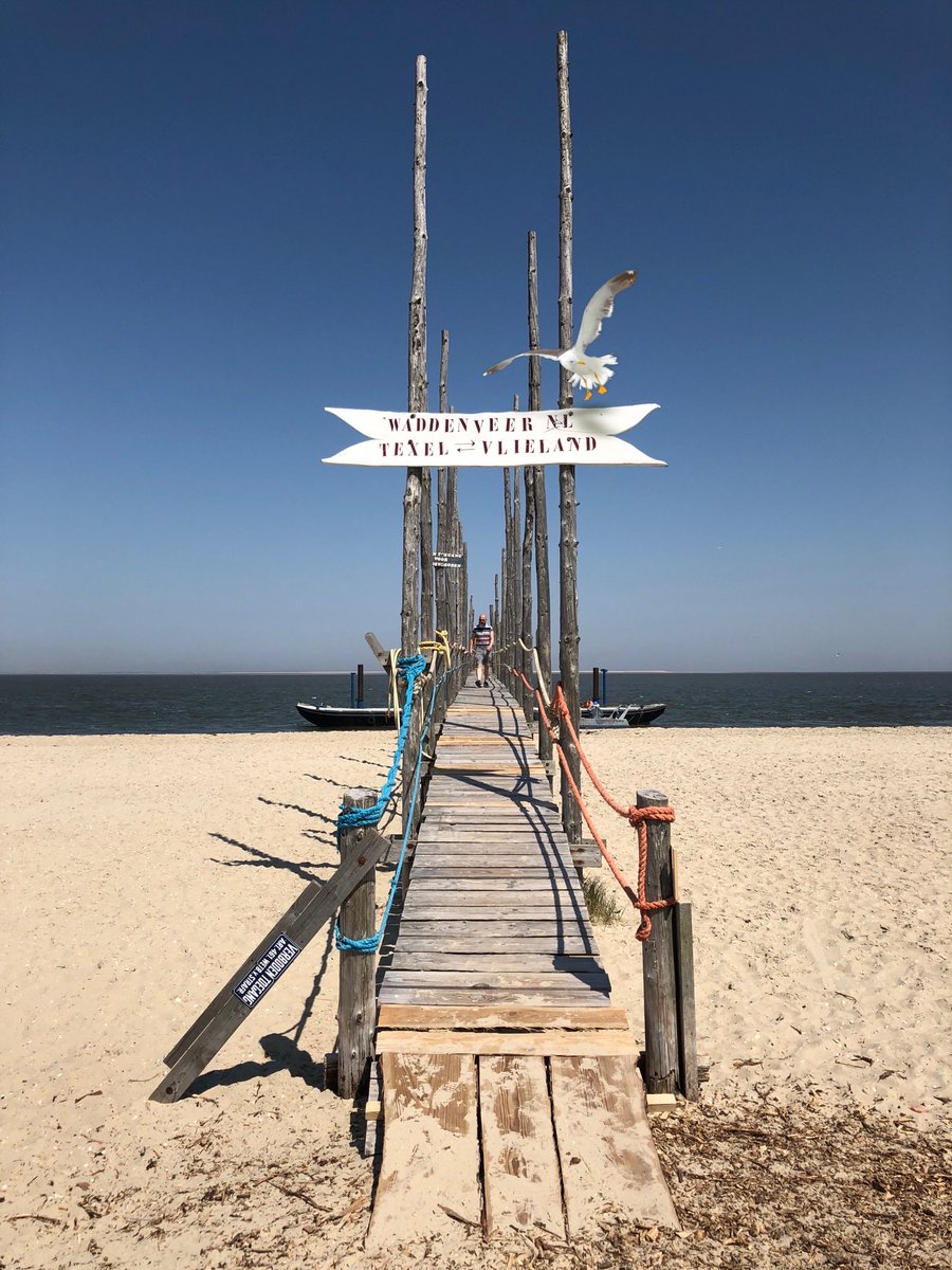 LisetteOpTexel's tweet photo. Steiger van Sil #Texel #deVriendschap 🛥️ to @vvvvlieland
Speciaal voor @jolandabrwr laatste dag #lijnen #fotozomerweken en voor @adriana57 om ‘n indruk te krijgen 💕#scaffold #thenetherlands #stormhour @NatGeoTravel @BBC_Travel #vlieland https://t.co/rpvELsSDVS