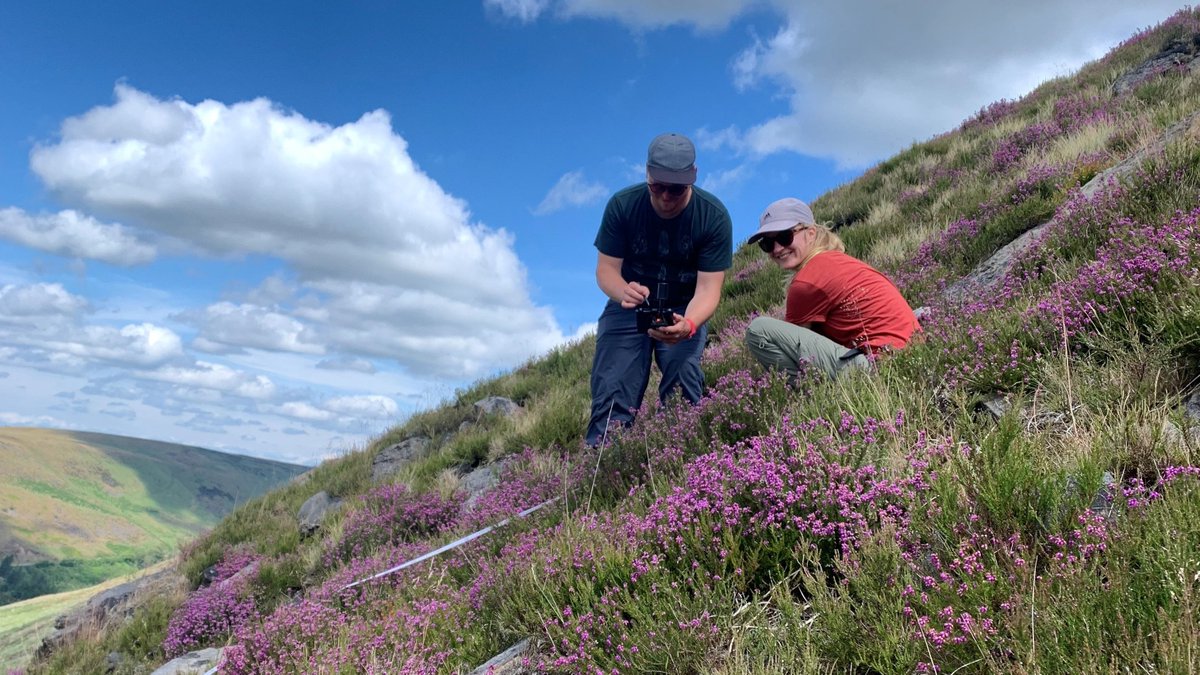 🔥Fieldwork🔥 @pia_labenski & @remotesennsing are currently working in the Peak District (up North in England), collecting data on vegetation recovery 🌿 after wildfires. An exciting collaboration with @ukfdrs to monitor fuel dynamics in moorlands. #WildfireResearch #blueberries