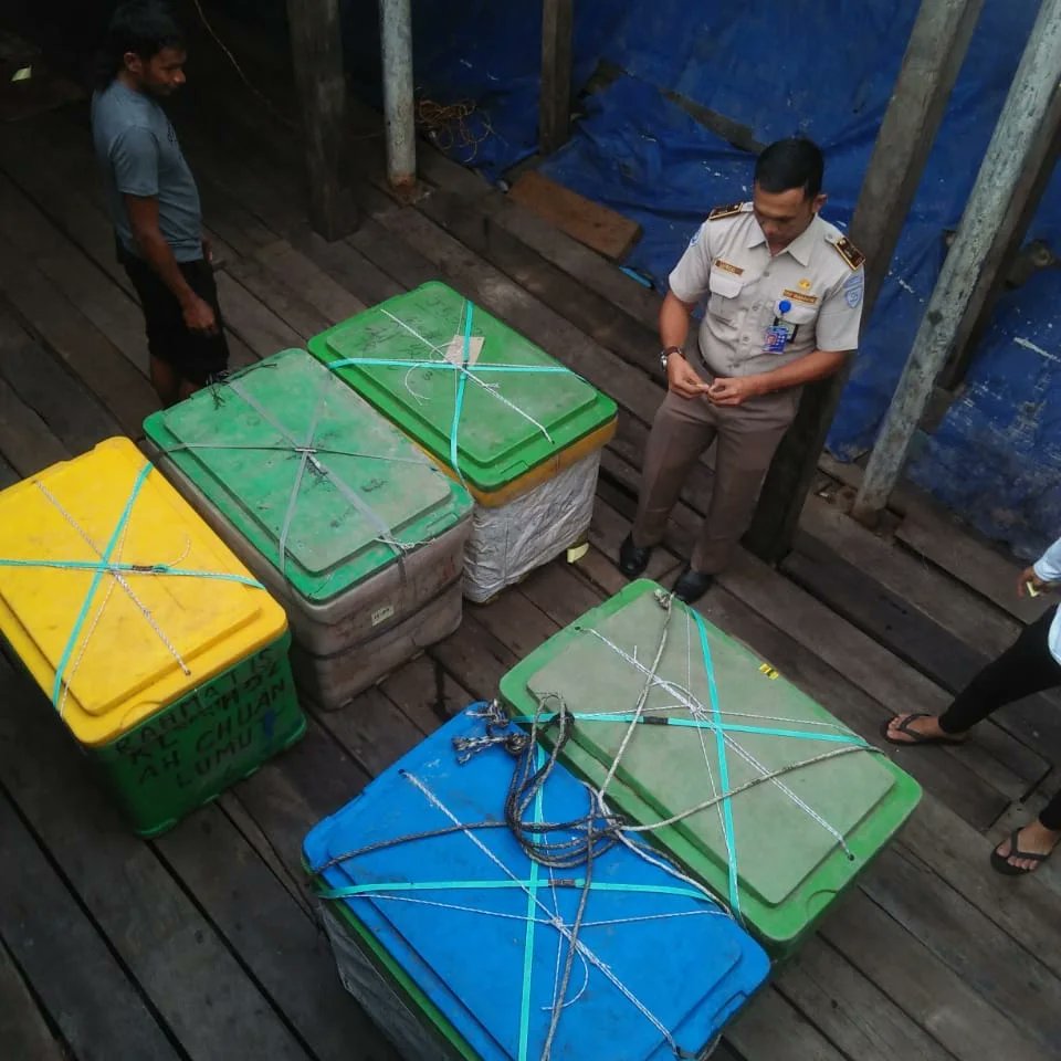 BKIPM_Langsa's tweet photo. #onehealthkipm giat pemeriksaan pengiriman produk perikanan dari pelabuhan kuala langsa tujuan Malaysia
#KKPThrive 
#EkonomiBiru 
#MenteriKKP 
#BKIPM https://t.co/ESW1pcfgN0