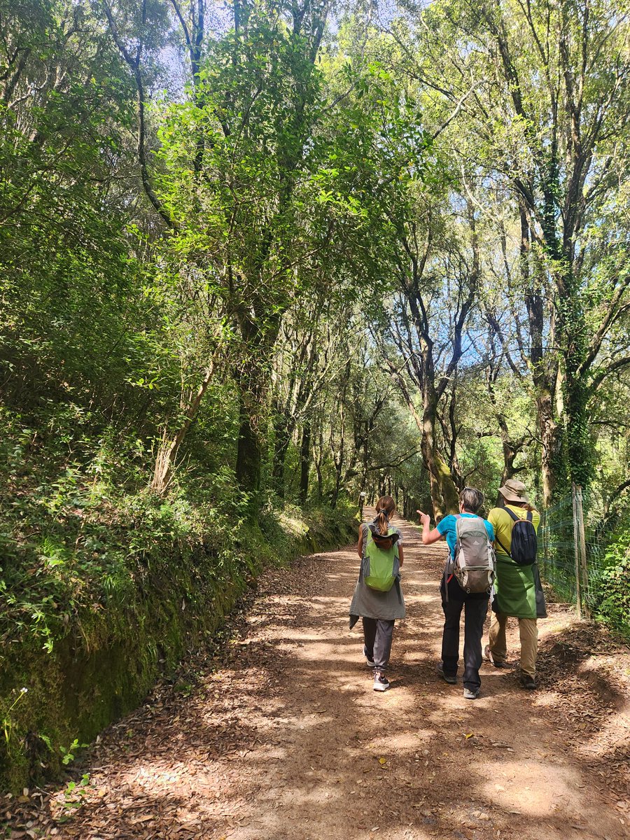 Alexandria Thomsen tweet media