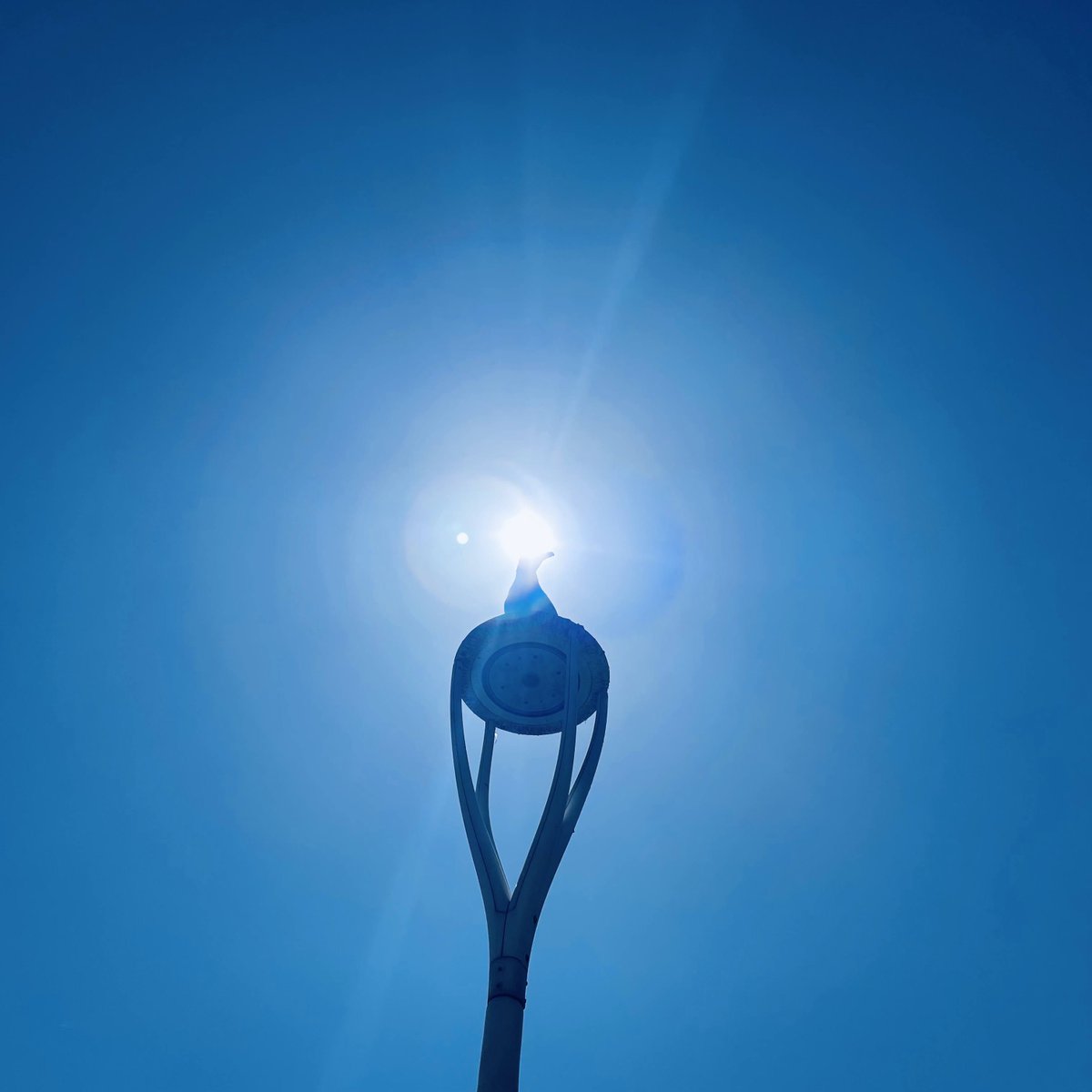 HotelAlexandre3's tweet image. Lamp.

#lamp #light #lightpost #cotedazurfrance #art #streetart #magicalview #cannes2023