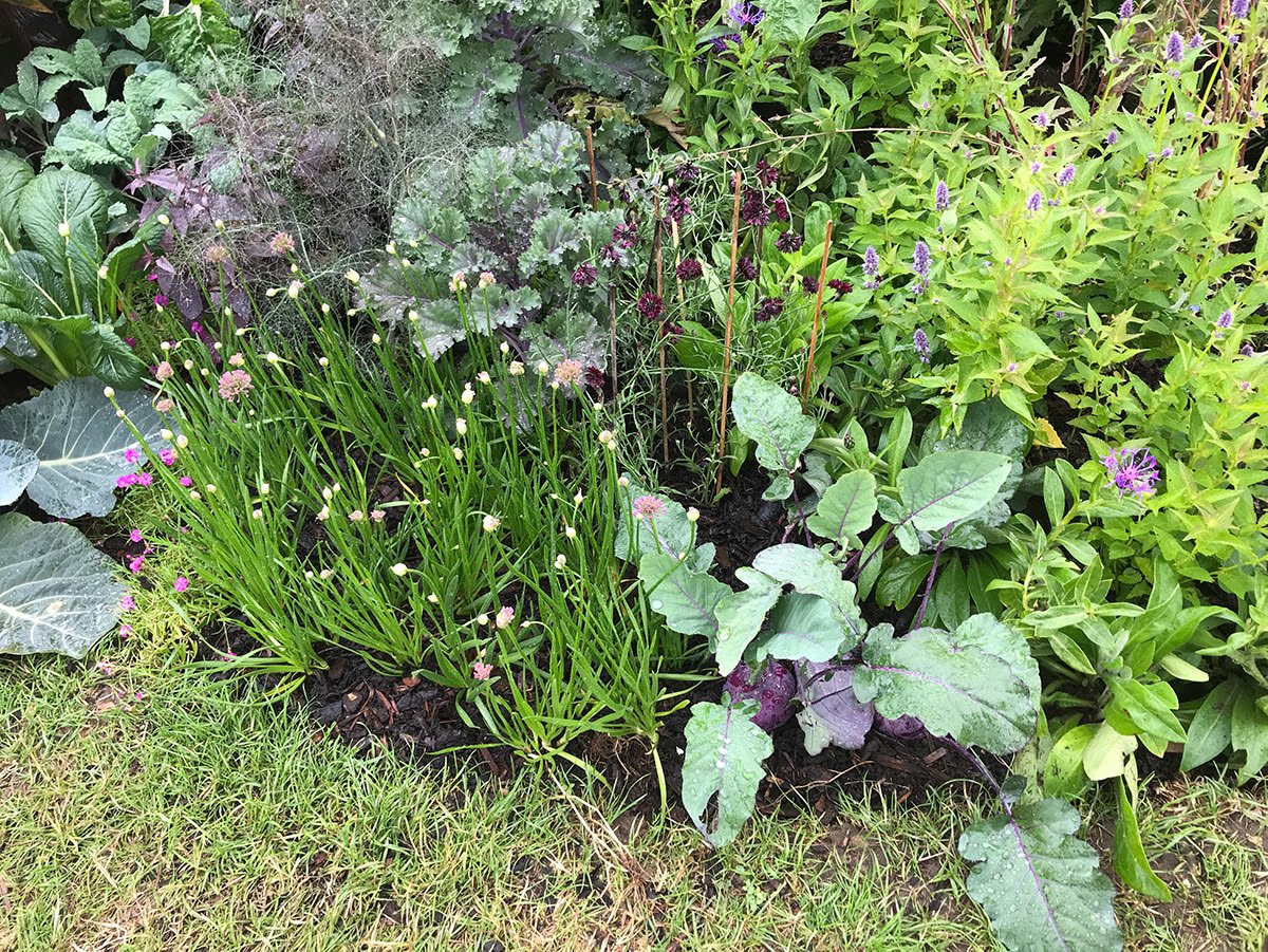 WE NEED YOUR HELP PLEASE!!! SATURDAY 15TH JULY, 10AM - 5PM 🕔 #permablitz #cityfarm #volunteers #GardenersWorld #gardening