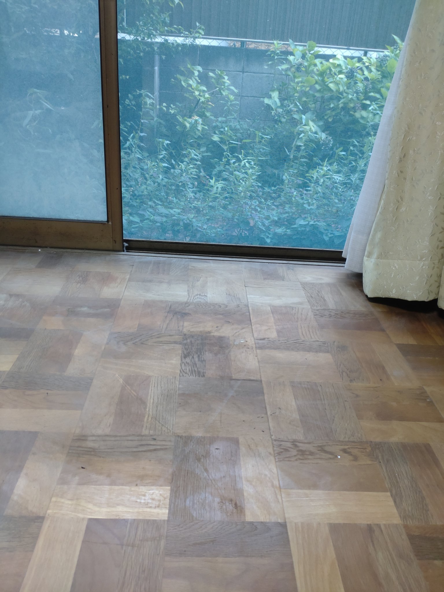 本庄冬武 on Twitter