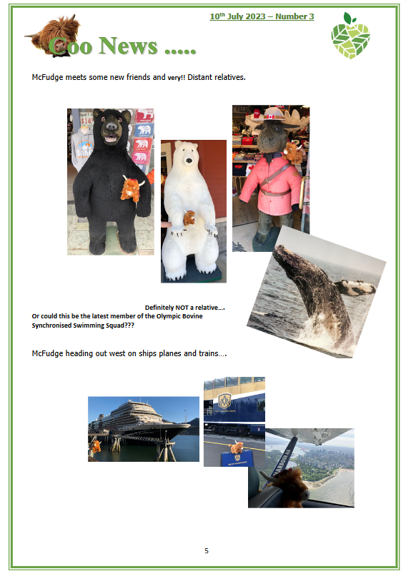 HCA_Forum's tweet photo. Once upon a Coo…. Chapter 3!

National Coo Service continues and the cheeky little moos are still doing their thing, read about all their latest antics in the latest issue of #CooNews
>>https://t.co/EVNNGSZ7Ya

#HCAForum #McCoo @hospitalcaterer @HCAWoS https://t.co/TfAY2lN42W