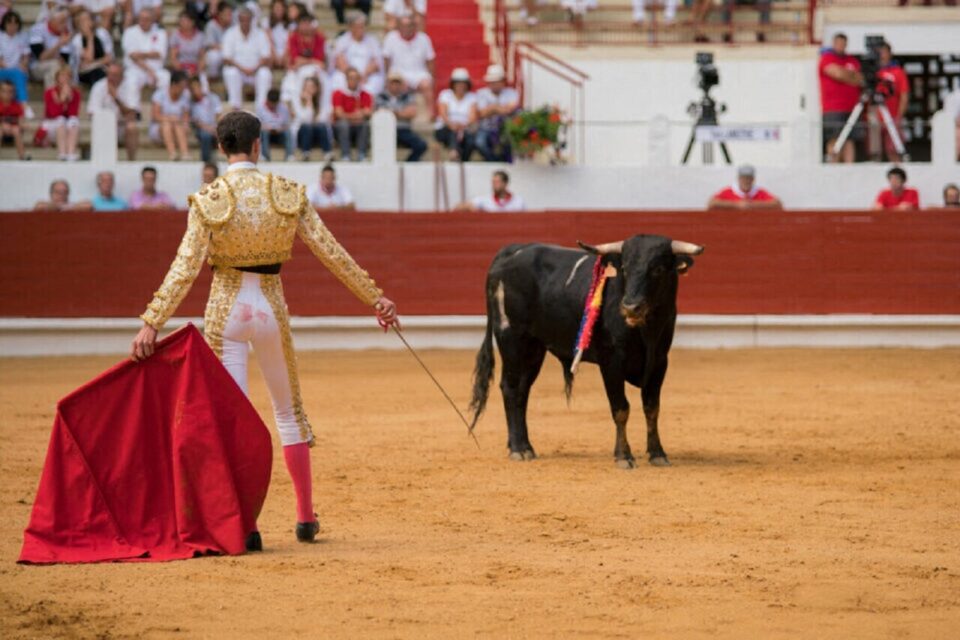 No Corrida tweet media