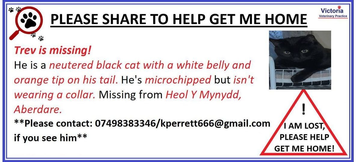 VictoriaVets_'s tweet photo. Please share, Trev has been missing for over 3 weeks.  There has been possible sightings so please keep an eye out!
#missingcat #share #missing https://t.co/alBhOKb0OV