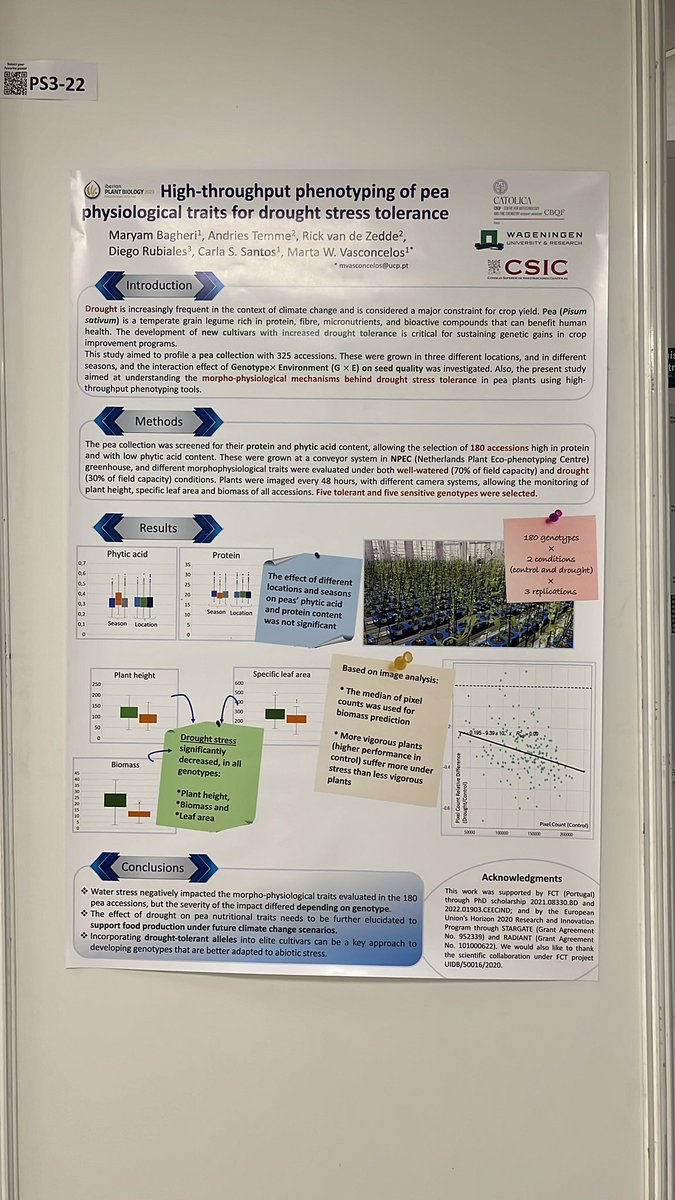 carla santos (@carlassantos_) on Twitter photo Today is the poster session for Plant Biotic and Abiotic Stresses, and we are presenting our collaborative work between <a href="/BiotecCatolica/">Escola Superior de Biotecnologia da Univ. Católica</a> <a href="/DiegoRubiales_/">Diego Rubiales</a> and <a href="/WUR/">Wageningen U&R</a>, with the support of <a href="/eu_radiant/">RADIANT EU</a> and the <a href="/Stargate_CBQF/">STARGATE</a> projects ✨<a href="/martawilton/">Marta Vasconcelos</a> Today is the poster session for Plant Biotic and Abiotic Stresses, and we are presenting our collaborative work between <a href="/BiotecCatolica/">Escola Superior de Biotecnologia da Univ. Católica</a> <a href="/DiegoRubiales_/">Diego Rubiales</a> and <a href="/WUR/">Wageningen U&R</a>, with the support of <a href="/eu_radiant/">RADIANT EU</a> and the <a href="/Stargate_CBQF/">STARGATE</a> projects ✨<a href="/martawilton/">Marta Vasconcelos</a>