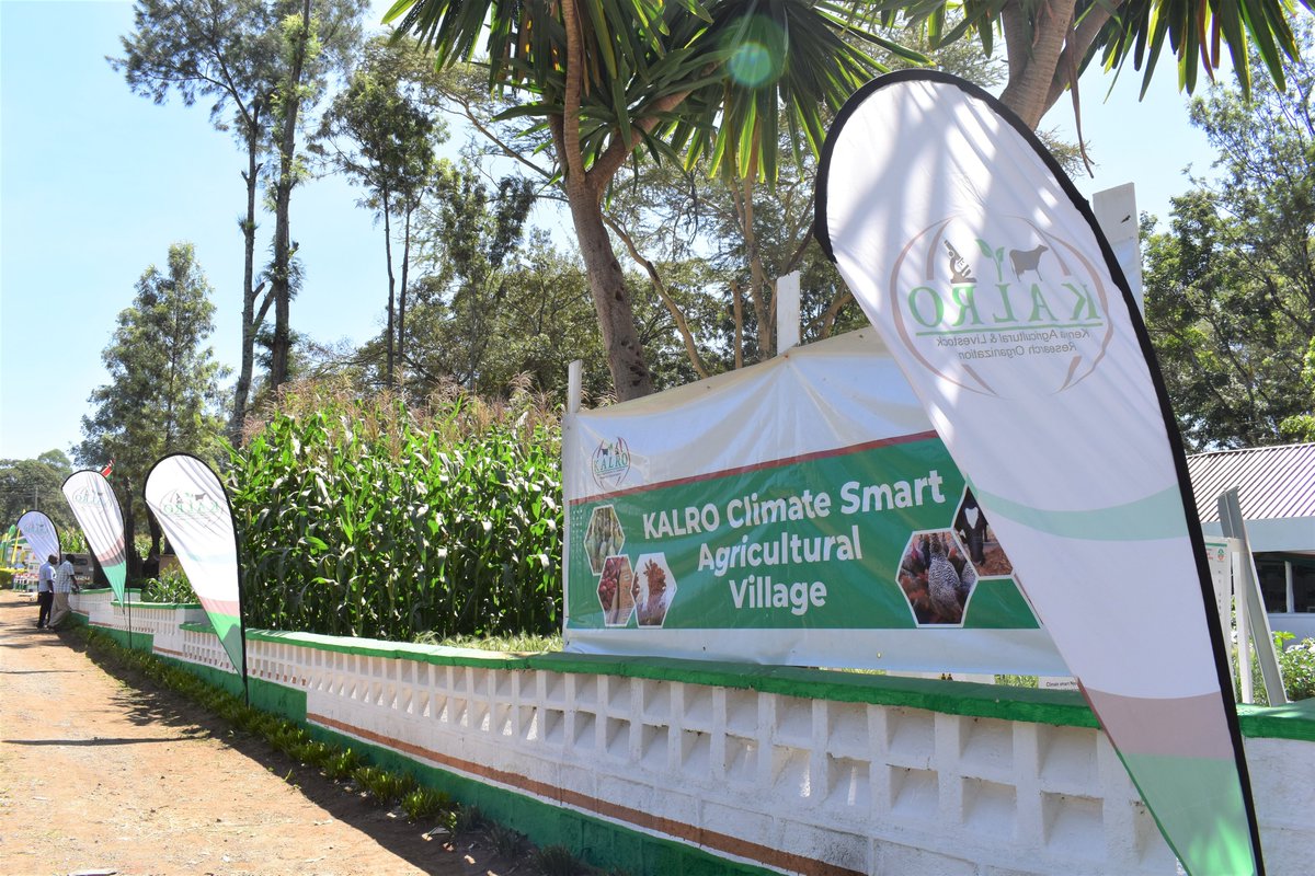 kalromkulima's tweet photo. We are at the Nakuru ASK National Show from July 12th to 16th 2023. This year's theme is "Promoting Climate Smart Agriculture and Trade  Initiatives for Sustainable Economic Growth." Visit our Stand to learn about new farming techniques and technological advances in agriculture. https://t.co/oi4xS1VKFk