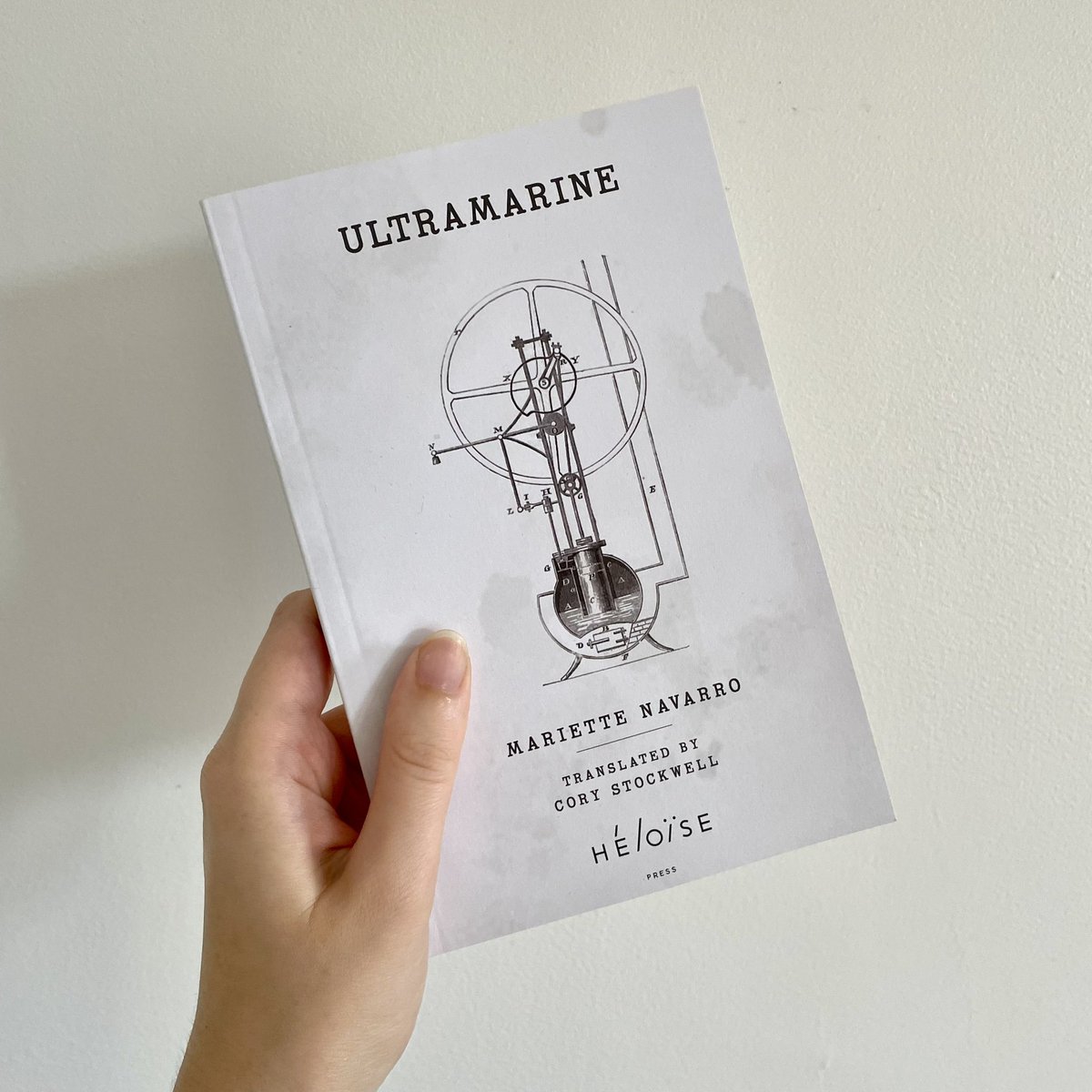 Borderless Book Club tweet media
