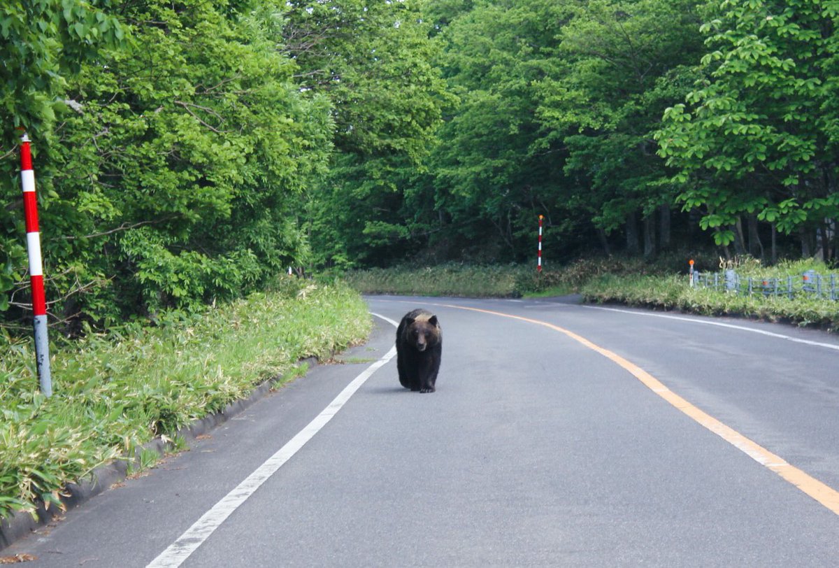 vakabondaimi's tweet photo. 3週間の北海道ドライブ旅も、HafHでらくらくステイ。
前日でもパパッと予約ができるので、気分次第で予定が変わりがちな私にはぴったり。
現在はタイにプチ移住中なので、こちらでもハフ活していくぞ〜🇹🇭

HafH旅応援キャンペーン https://t.co/VpGKSrs5CU… #わたしのHafH時間 @HafHtheWorldより https://t.co/16iFW910GZ