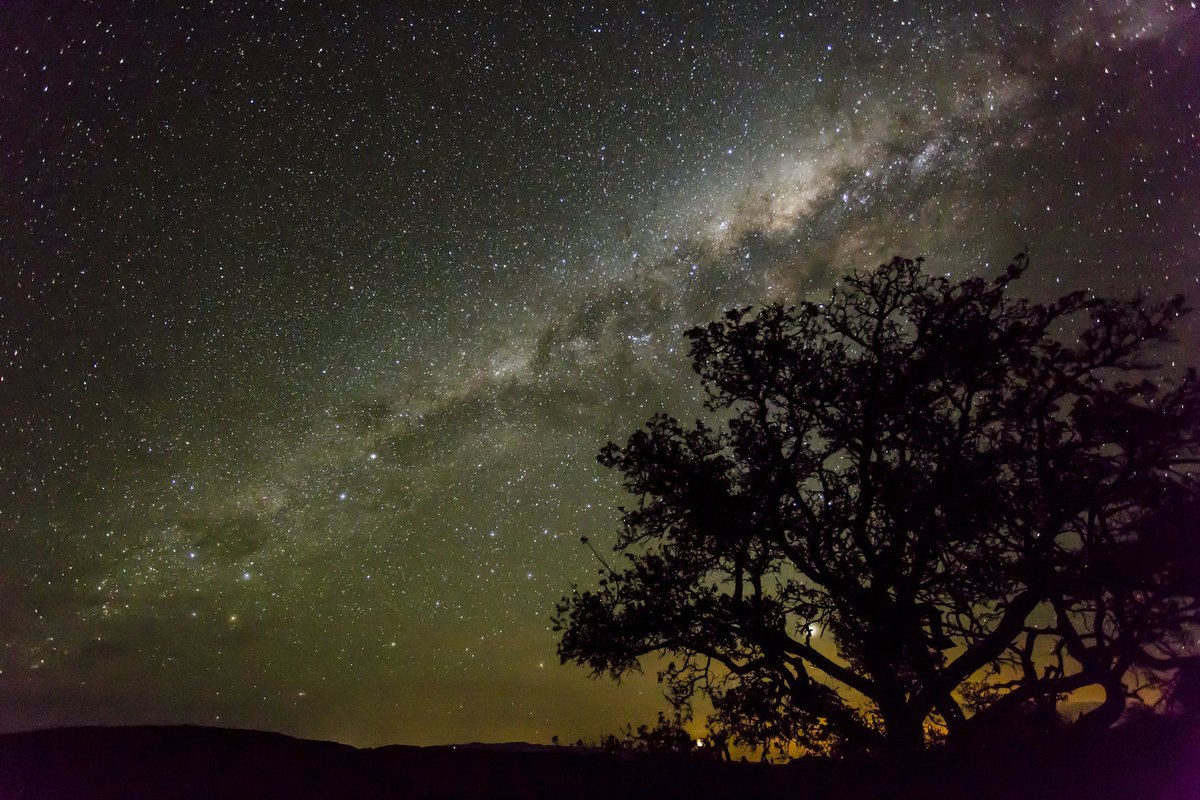 NRF|SAAO tweet media