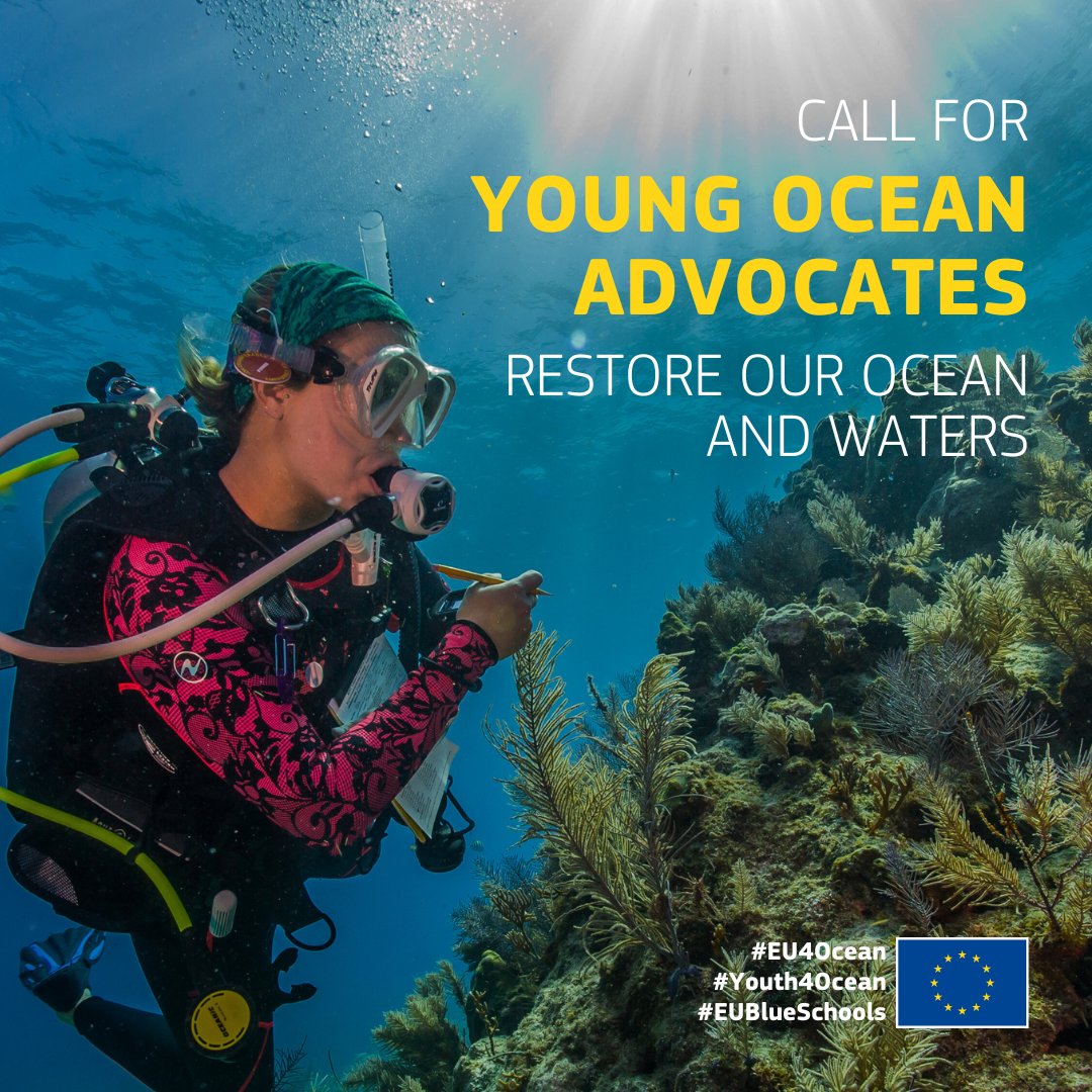 📣Calling all young ocean enthusiasts! 

🌊Do you have a project to combat marine pollution or promote ocean literacy? The #Youth4Ocean Forum wants YOU! Join the movement, become a Young Ocean Advocate & make a difference for our oceans.

Check more info: lnkd.in/e8ynRi6Q