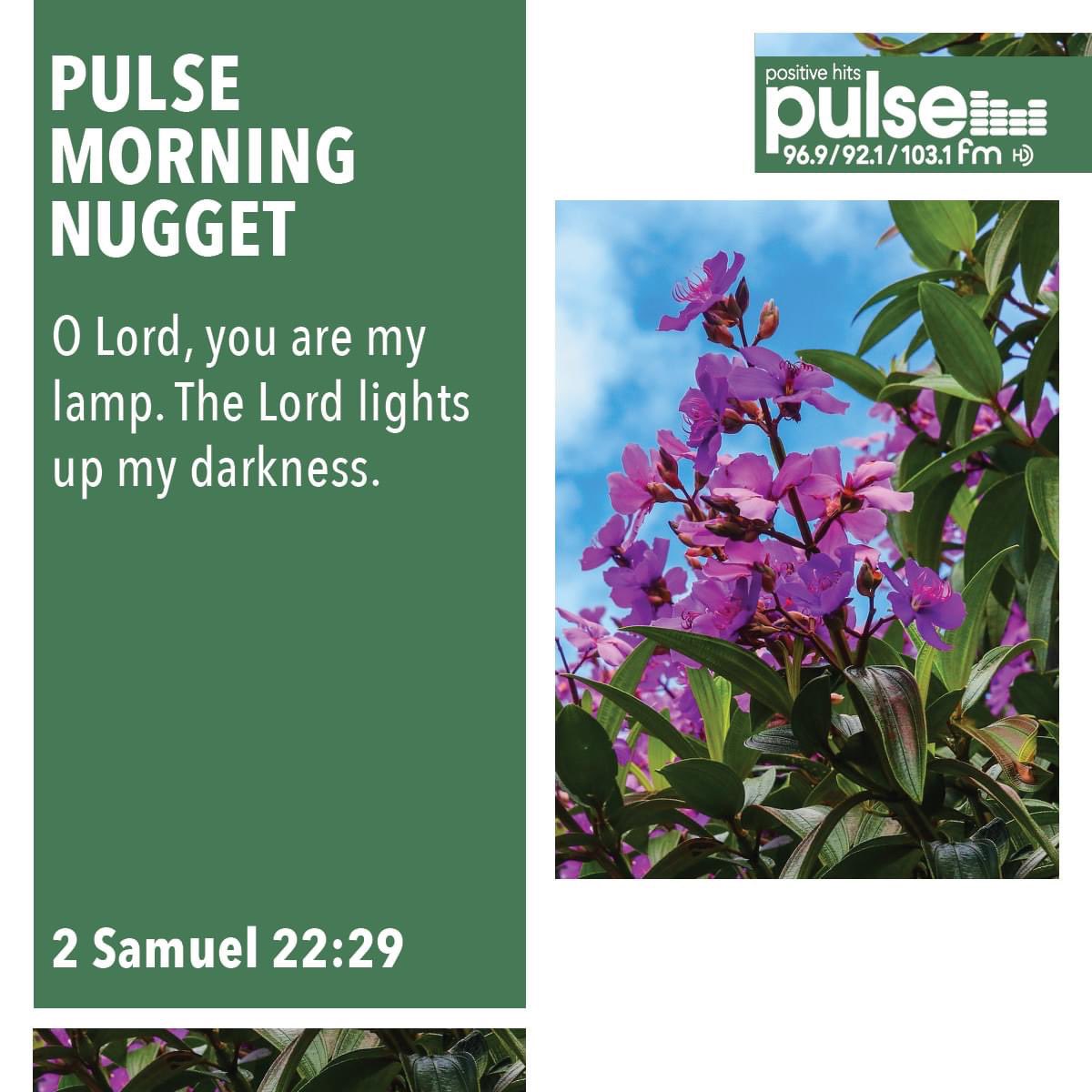 PULSE FM - 96.9/92.1/103.1 HD (@pulsefm) on Twitter photo 