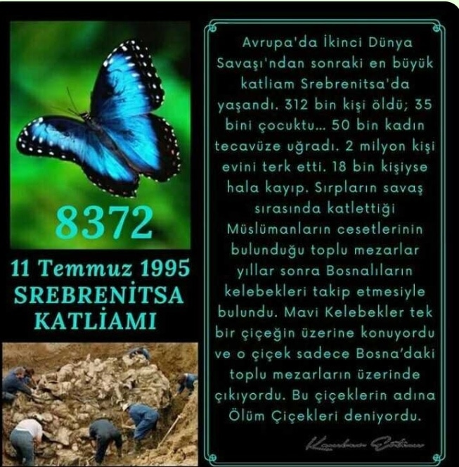 Din, dil, ırk ne olursa OLSUN, KATLİAM, KATLİAMDIR. Hiç bir geçerli sebebi olamaz. Kabul edilemez. #serebnitsasoykırımı #mavikelebekler #soykırım #katliam
