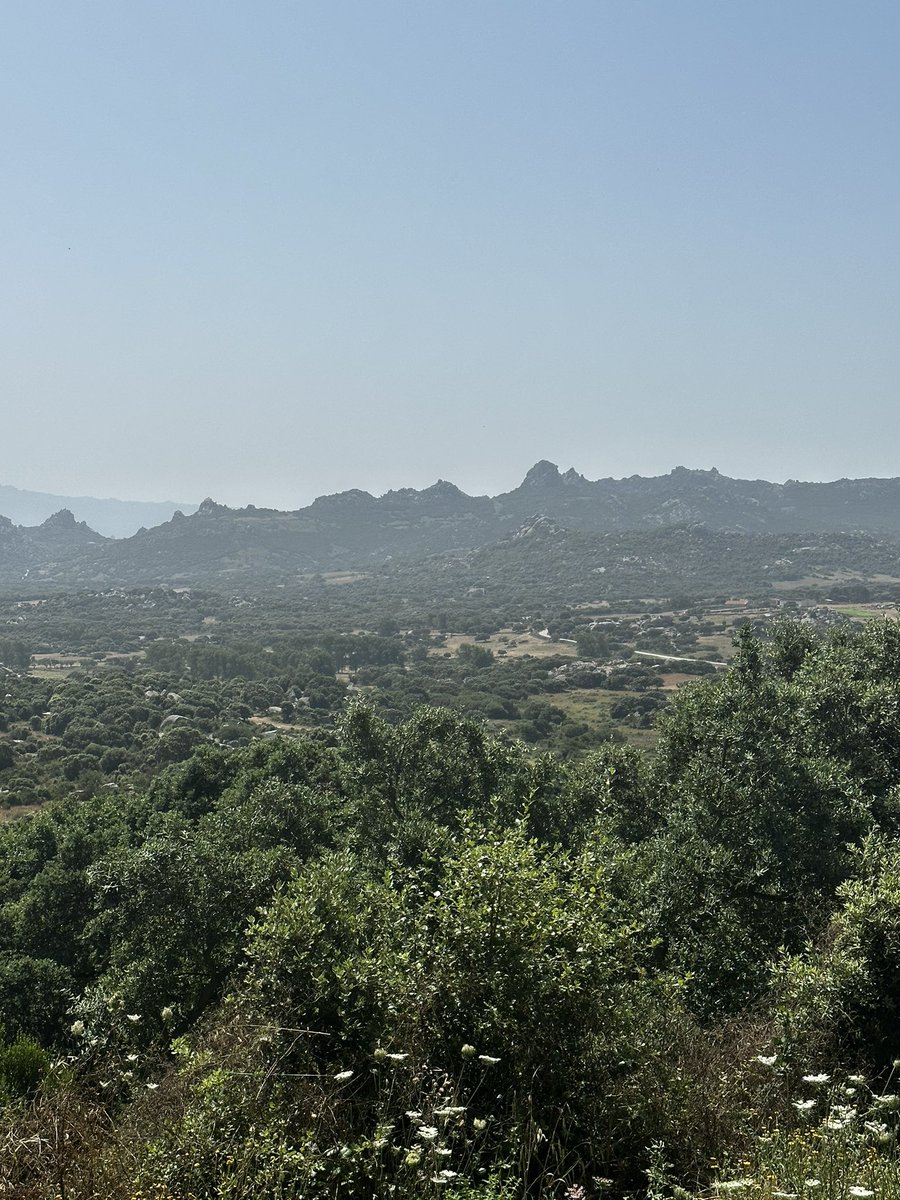 mr_isaacs's tweet photo. Bonjourno, Sardinia! #EuropeanAdventure #Aggius #Sardinia #italy @iwearthecrowns @leilaboo215 https://t.co/EtsGl4k9gE
