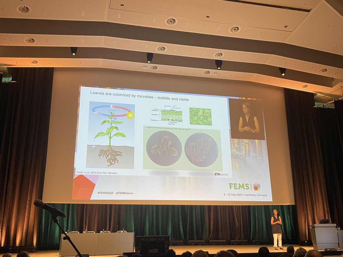 Plant-microbe interactions at #FEMS23