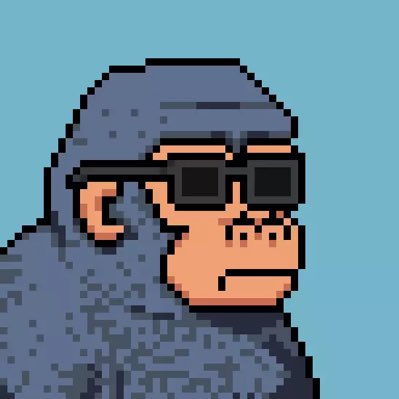 Michael BTC tweet media