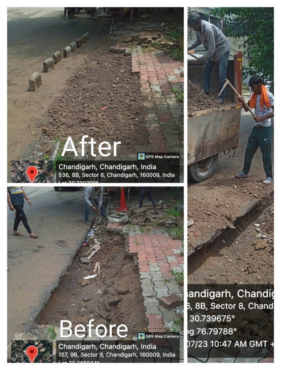 MCChandigarh's tweet photo. Relentless efforts to clear horticulture waste and debris after the deluge. We shall leave no stone unturned to restore the city to its original beauty!
#ChandigarhRains
#HelpMccMakeChdEvenMoreBeautiful https://t.co/P4Apmh3F42