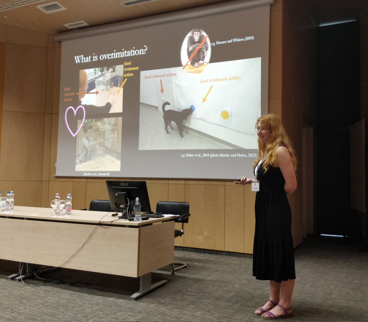 Karin Bayer tweet media