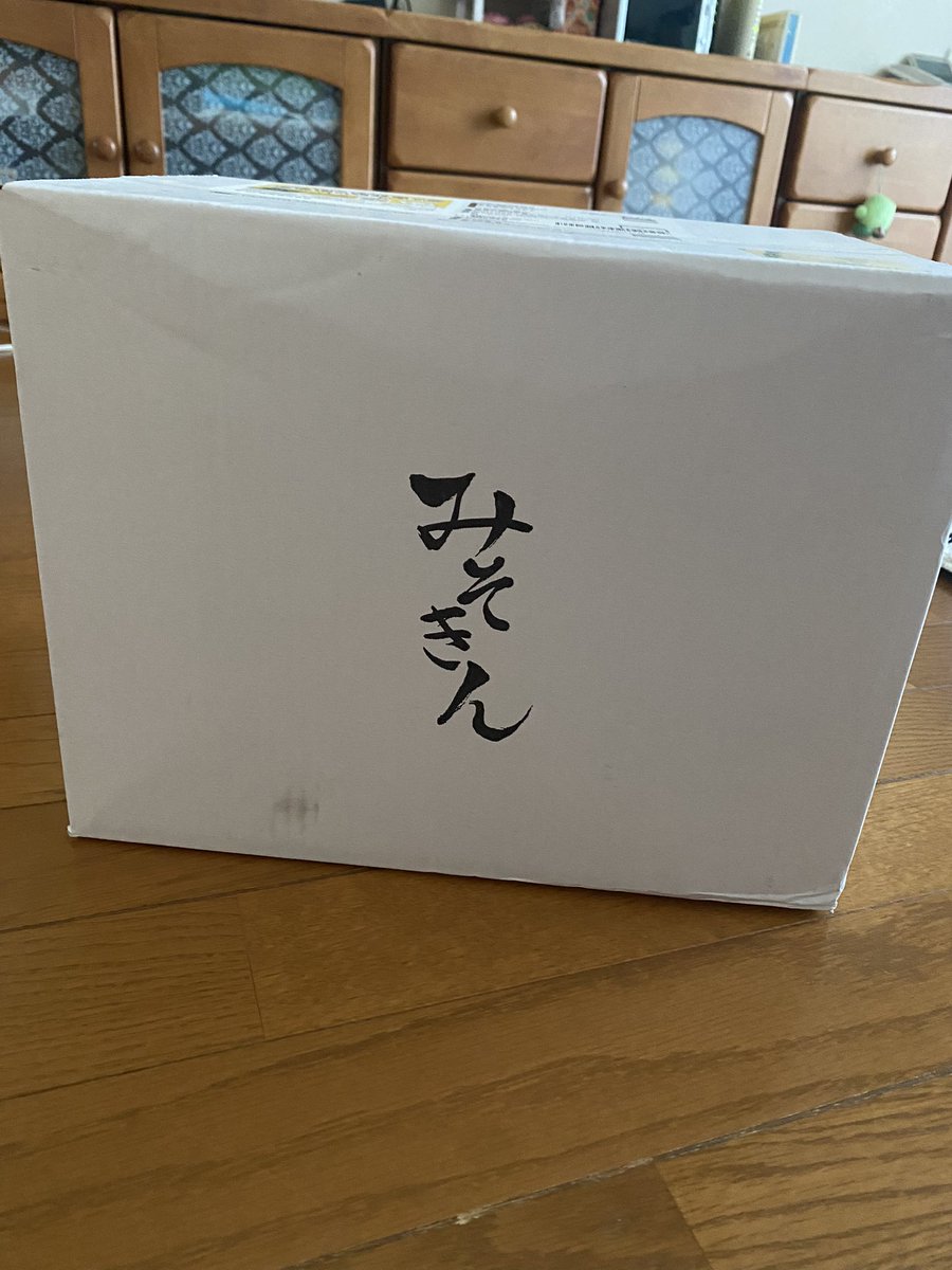 airanyon's tweet image. みそきんくんぬいぐるみ来たーーー😳♥️♥️
箱からしてレア🤣✨️
しかもめっちゃデカい🥺！！！
可愛いーーーっ🥺✨️

#みそきん
#みそきんくんぬいぐるみ