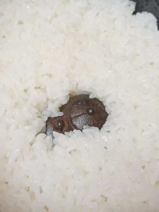 ホカホカのドラえもん。