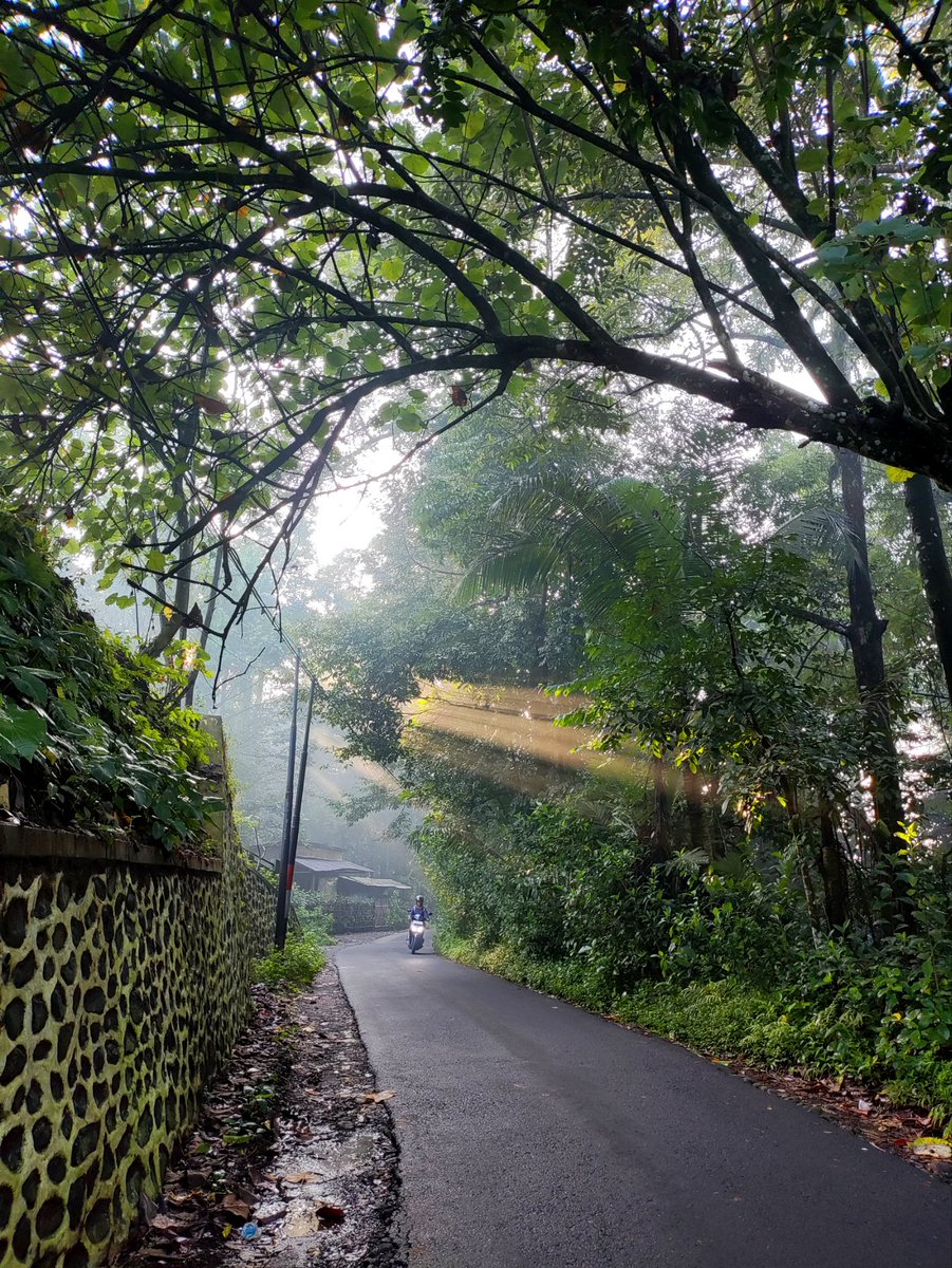damardrdr's tweet photo. Beberapa jepretan kemarin pagi. https://t.co/GCBrWuu6kV
