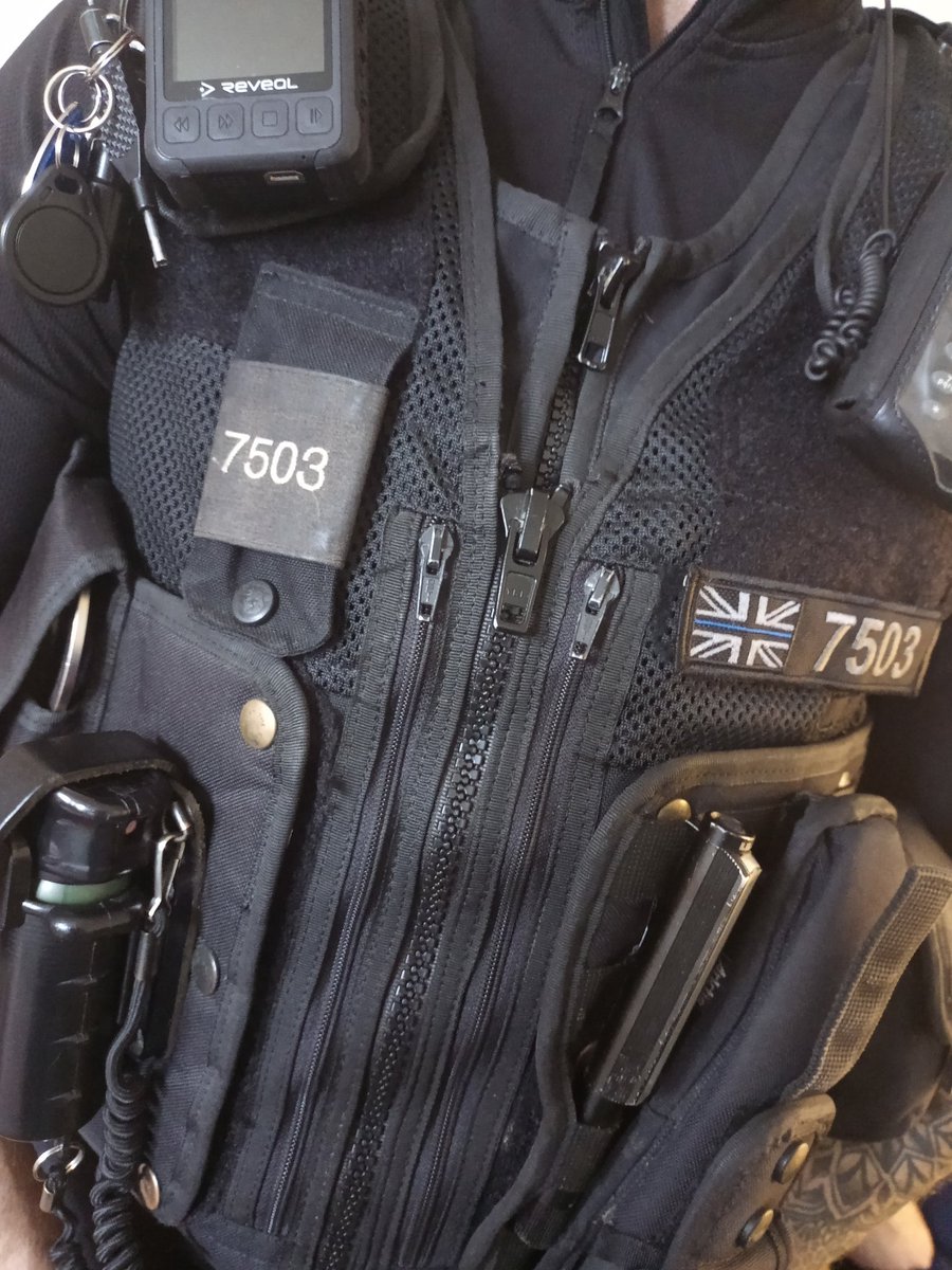 Syrena House tweet media