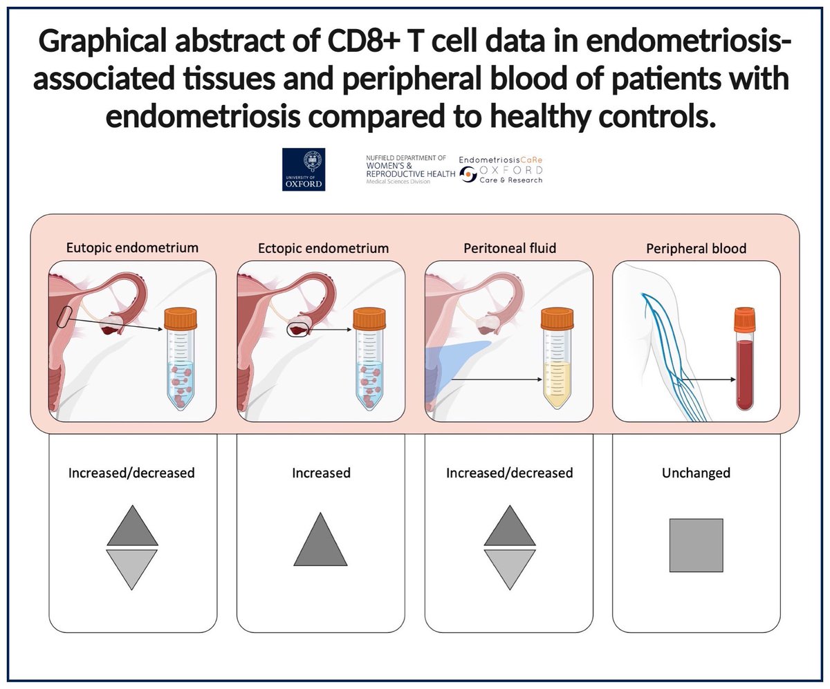 What do we know about CD8+ T cells in healthy endometrium? Not that much. 
What about endometriosis? Well, we have no idea 🤷🏻‍♀️

But there is a lot out there to learn from! 
Enjoy the ride 🎢

Link in comment ⬇️

#endometriosis #reproductiveimmunology

@OxfordEndoCaRe @Ox_wrh