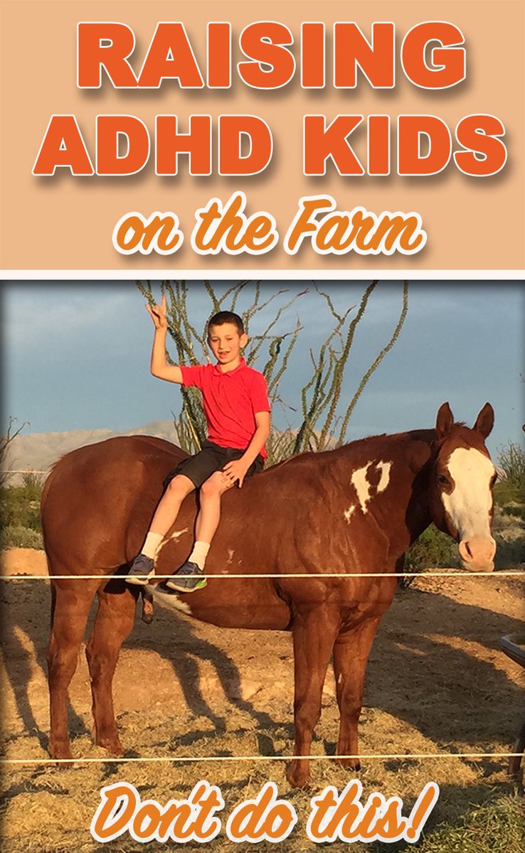 TheFarOutFarm's tweet photo. Check out my new blog post: Raising ADHD Kids on the Farm!

https://t.co/UaVmoSEVxO https://t.co/nI3IE5LKyq
