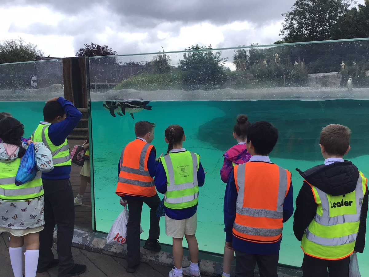 4H_stjohns's tweet photo. We had a fabulous time at Chester Zoo today!🐯🦁🐒 https://t.co/FVD8IZDLyj