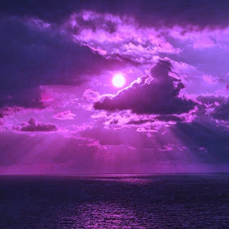 violettweets_'s tweet photo. ocean sunset. https://t.co/iH3yJVFLwH