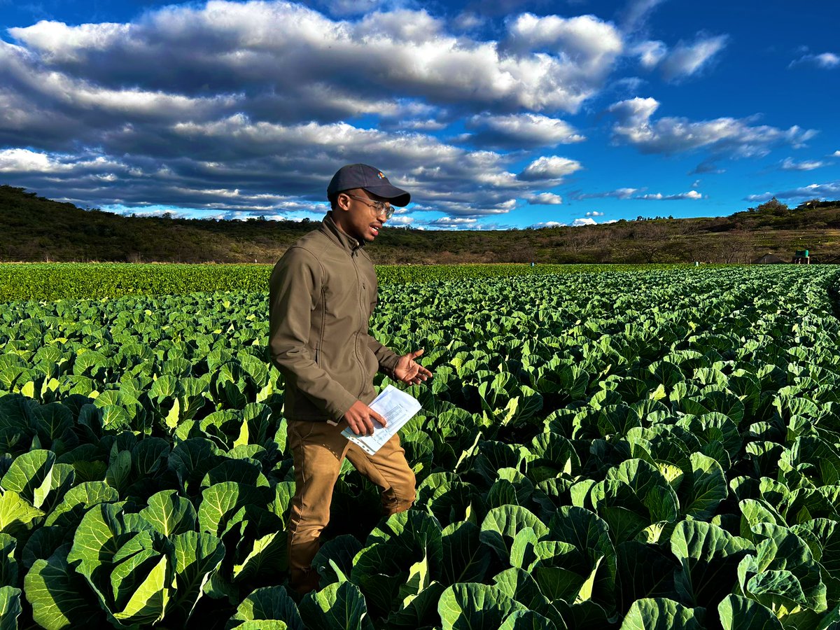 #FarmingWithShana tweet media