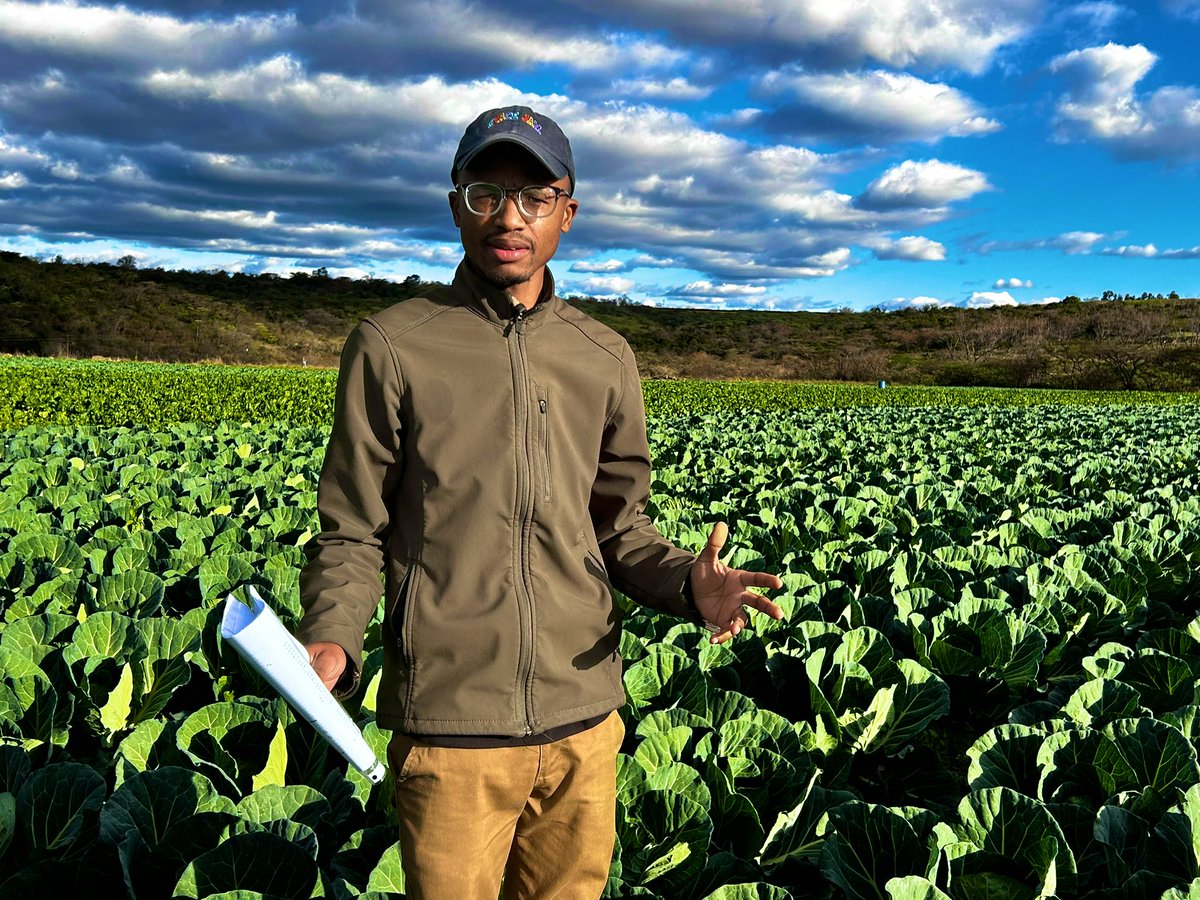 #FarmingWithShana tweet media