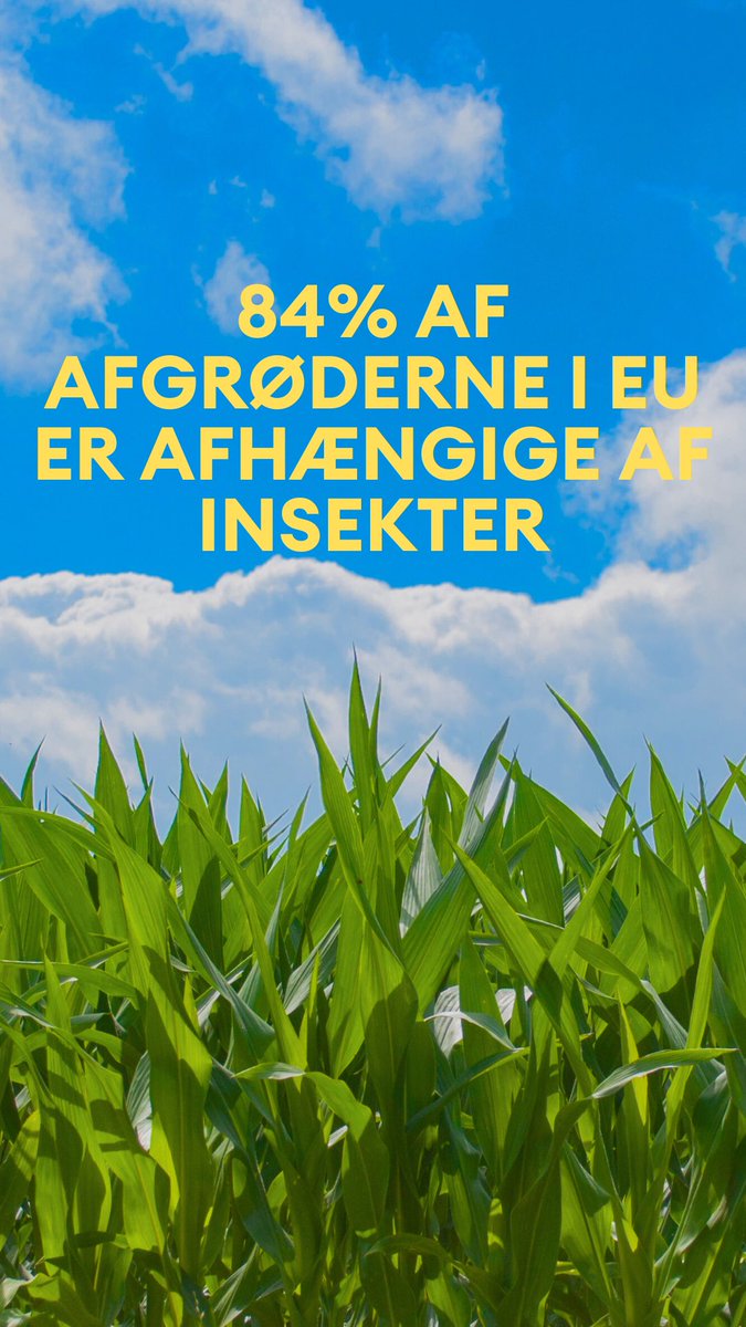 Den Grønne Ungdomsbevægelse tweet media