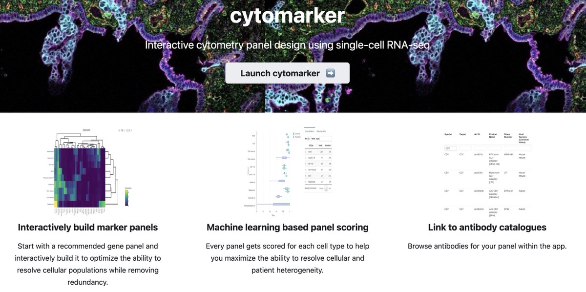 Interested in using scRNA-seq to help design antibody panels for e.g. highly multiplexed imaging experiments?

Introducing cytomarker, a web-app for iterative panel design, including metrics and link out to antibody catalogues

App ➡️ cytomarker.ai

Thread ⬇️ (1/8)