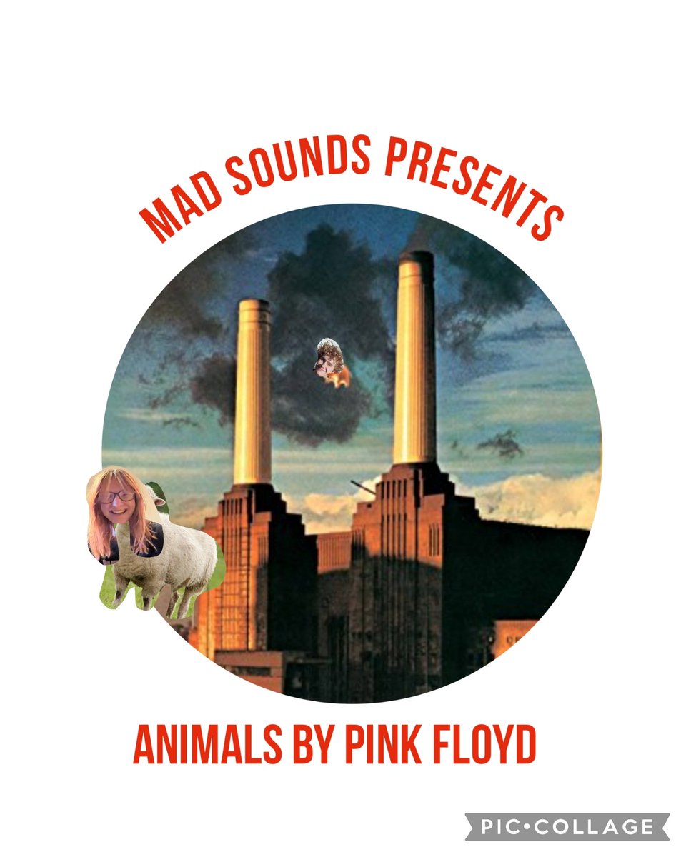 EPISODE 48 IS STRAIGHT FIRE

CHECK IT OUT ON @spotifypodcasts and @amazonmusic 

#pinkfloyd #animals #interview #musicjournalism #journalist #podcast #podcasting #progrock #rock #analysis #ErasTour #RogerWaters #podcasts #newepisode #musicpod #musicpodcast