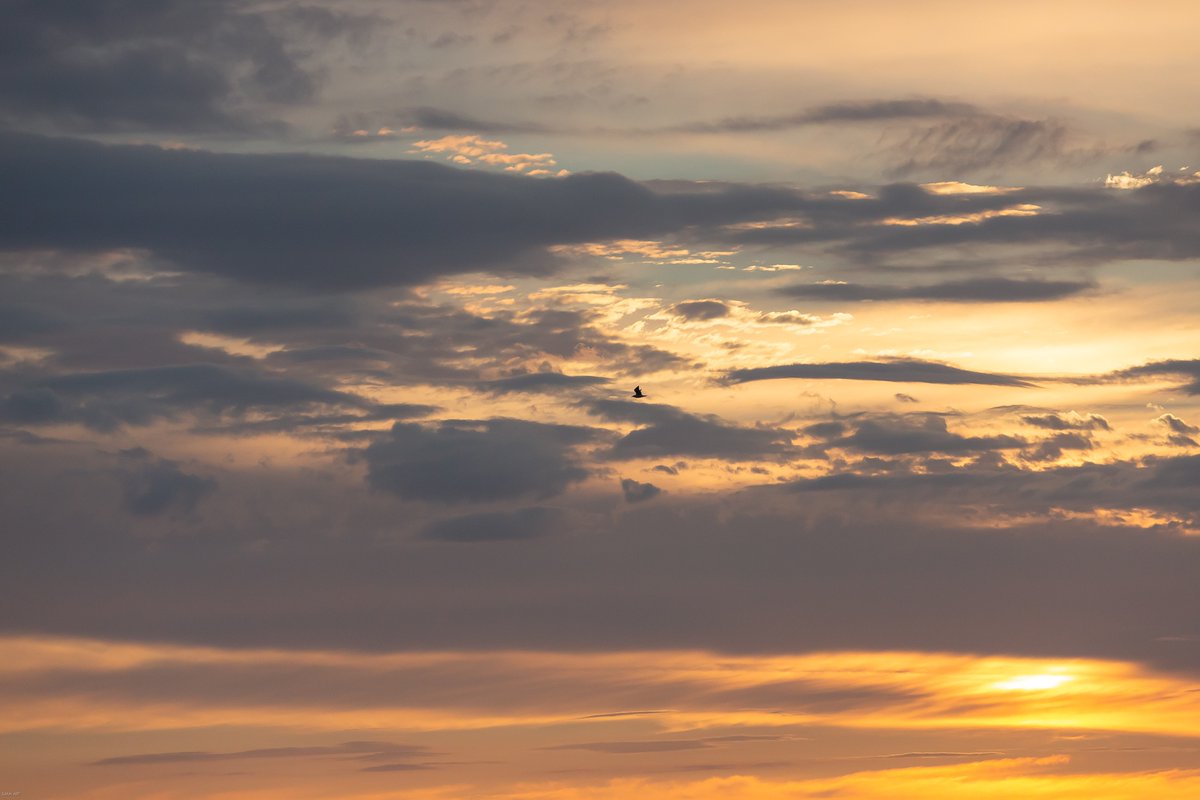 Havenlust's tweet photo. Things end but memories last forever. https://t.co/1gVQdcGQ3W