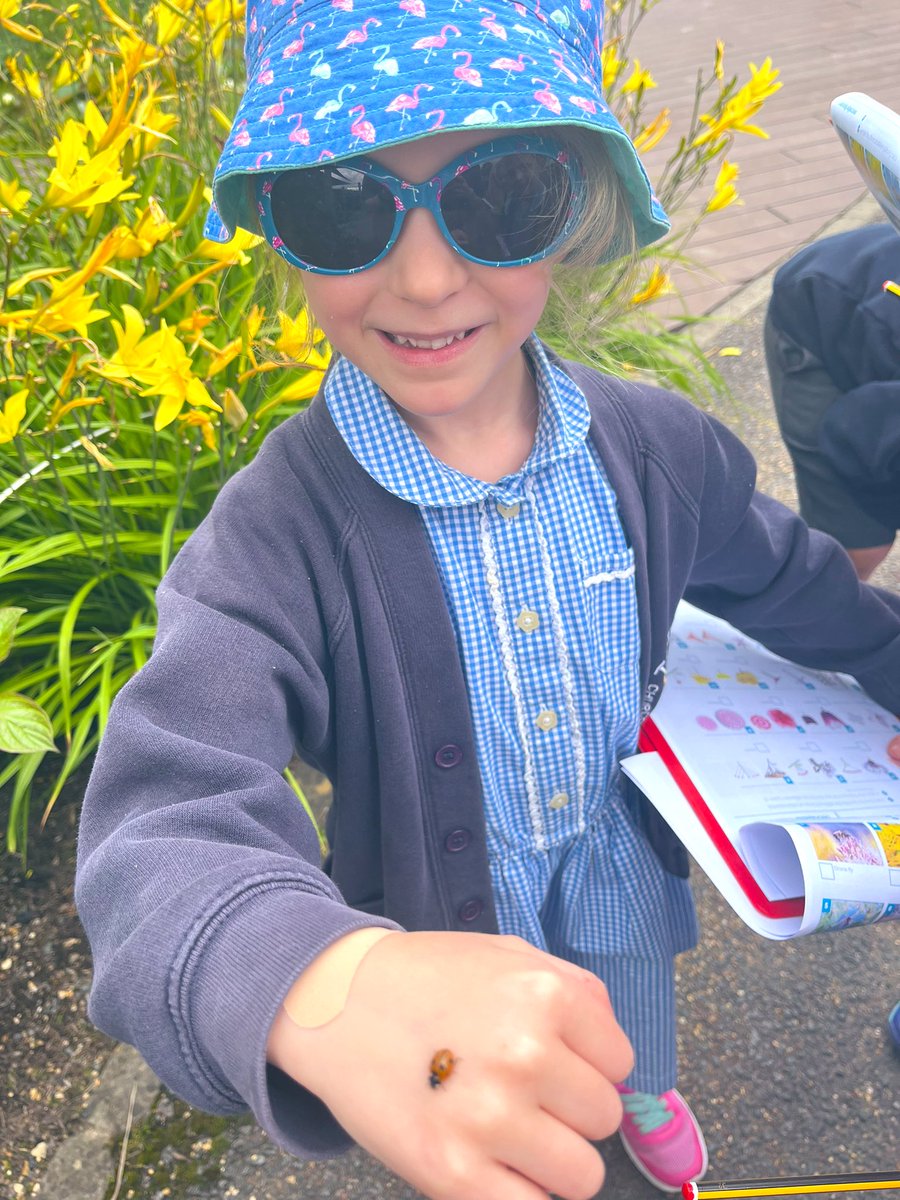 M1ssCunningh4m's tweet photo. We had a brilliant day. Thank you @RHSHarlowCarr #TockY1 #TockScience 🦋🐛🌻🐞 @Tockwithcofe https://t.co/2IgTbpXIiQ