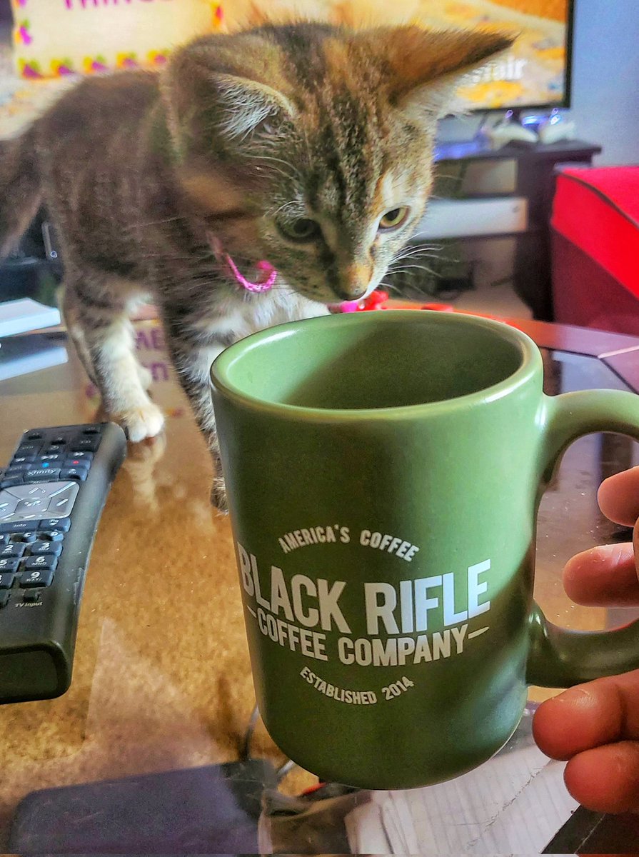 baggedwaddy's tweet photo. Kitty approved 😸

Drink coffee.  It'd good for you ☕️

@blckriflecoffee 

#Coffee #CoffeeLover #KittyTwitter #CatsofTwittter #CatsOnTwitter https://t.co/ZNPUjHsoXb