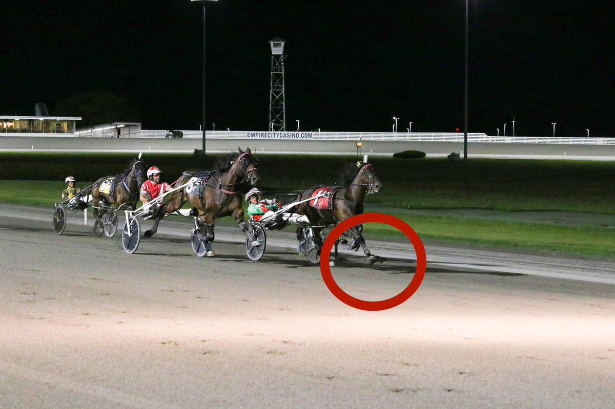 Jordan Stratton tweet media