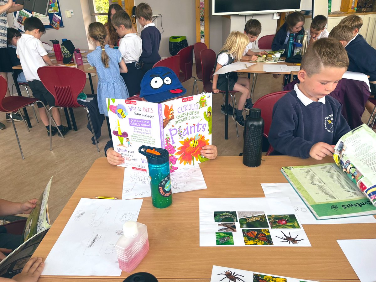 M1ssCunningh4m's tweet photo. A classroom with a view! @RHSHarlowCarr year 1 had a busy morning creating their own mini beasts🪱🐝🐞🐛🦋 @Tockwithcofe #TockY1 #TockScience https://t.co/62sBdqcdTr