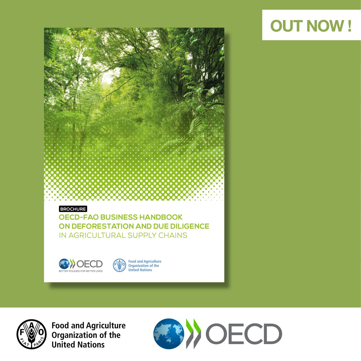 FAOForestry's tweet photo. To encourage global trade and food production – and reduce deforestation - the @OECD and @FAO have launched a Business Handbook on #Deforestation and #DueDiligence in Agricultural #SupplyChains.

→ OECD-FAO Business Handbook on Deforestation https://t.co/d5RXxhAoUH https://t.co/D8cuXuDql4