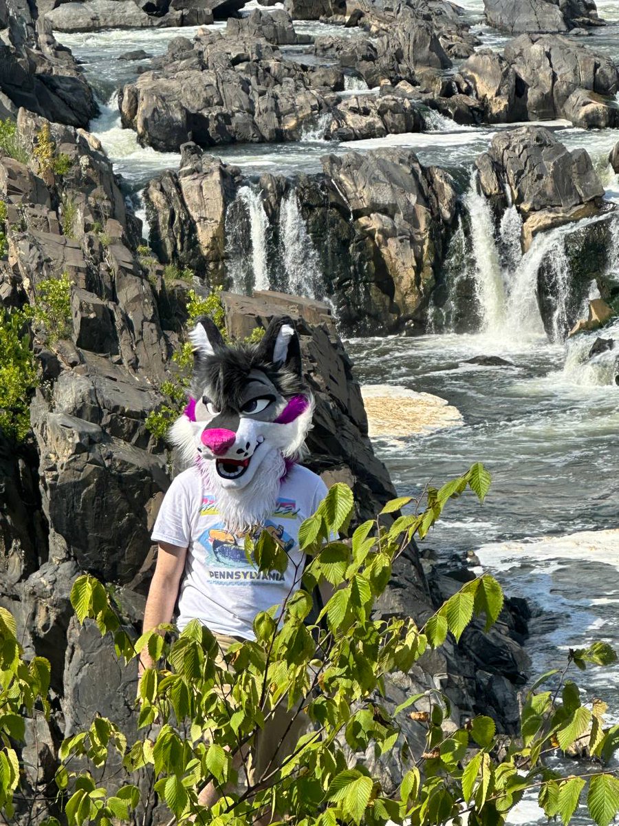 Happy #TwistedTuesday !! Embrace the day! ✨️😊

📸 ~ <a href="/jackalmaw/">CΛCҠLΣ 𓃦</a>
✂️ ~ <a href="/TwistedLeopard/">✨🐾Twisted Leopard 🐾✨</a>